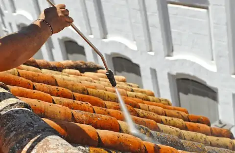 Démoussage de toiture à Lavau sur Loire